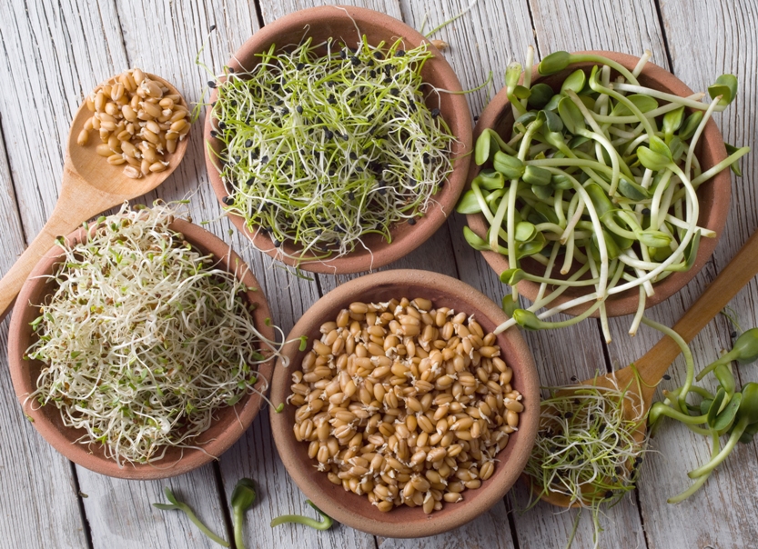 Découvrez tous les bienfaits des graines germées - A.Vogel - Compléments  alimentaires naturels